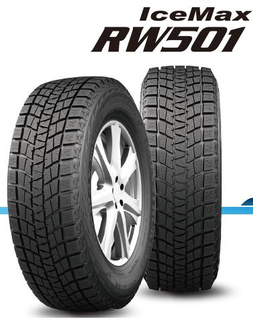 ايس ماكس RW501